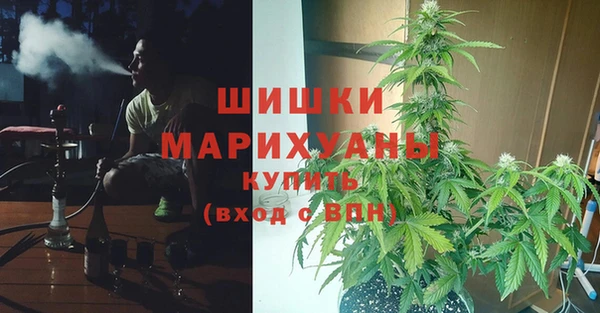 PSILOCYBIN Магадан