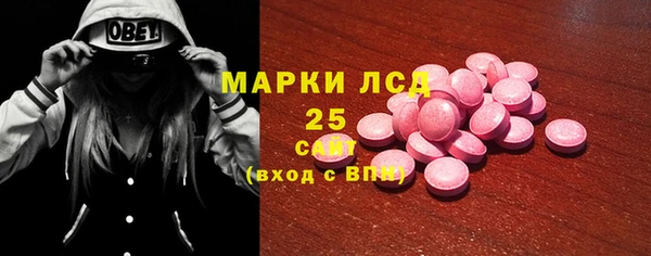 PSILOCYBIN Архангельск