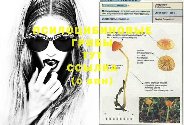 jwh Нижний Тагил