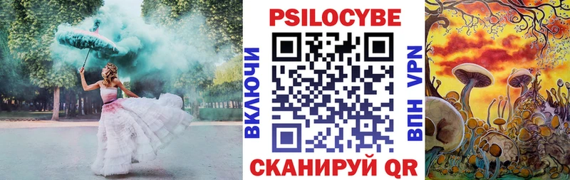 Купить где  Касимов  Галлюциногенные грибы GOLDEN TEACHER 